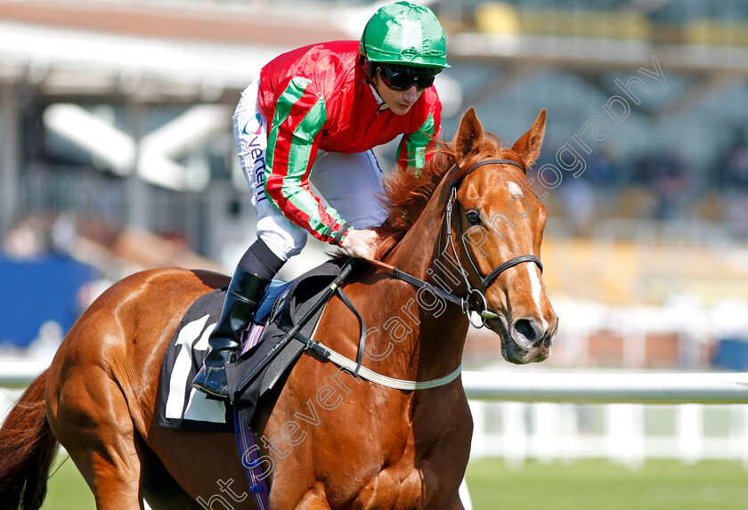 Quicksand-0002 
 QUICKSAND (P J McDonald) Newbury 20 Apr 2018 - Pic Steven Cargill / Racingfotos.com