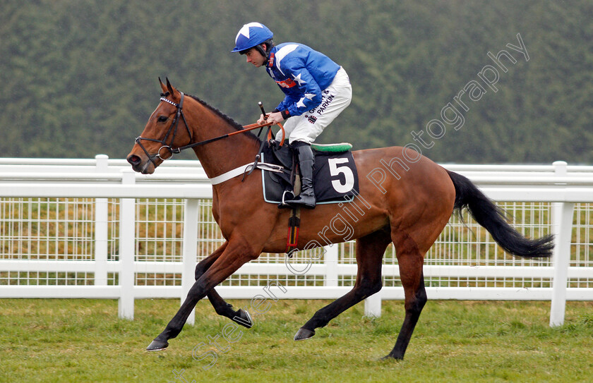 Grapevine-0001 
 GRAPEVINE (Jeremiah McGrath) Newbury 10 Feb 2018 - Pic Steven Cargill / Racingfotos.com