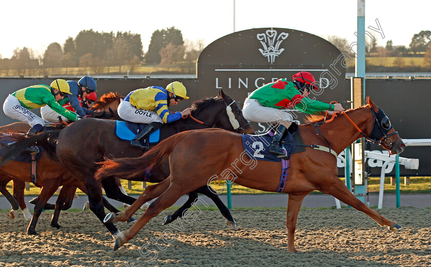 Outrage-0003 
 OUTRAGE (Richard Kingscote) wins The Heed Your Hunch At Betway Handicap
Lingfield 26 Feb 2021 - Pic Steven Cargill / Racingfotos.com