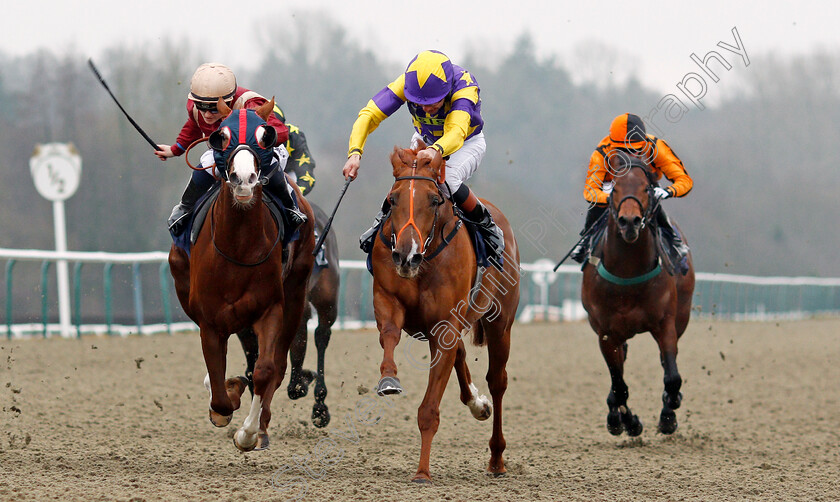 Motown-Mick-0004 
 MOTOWN MICK (centre, Timmy Murphy) beats ROSEAU CITY (left) inThe 32Red.com Nursery Lingfield 20 Dec 2017 - Pic Steven Cargill / Racingfotos.com