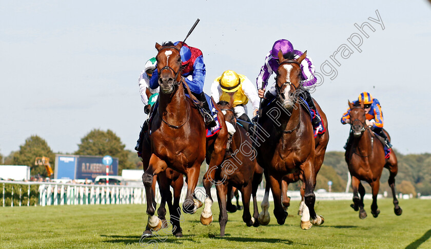 Jan-Brueghel-0004 
 JAN BRUEGHEL (left, Sean Levey) beats ILLINOIS (right) in The Betfred St Leger Stakes
Doncaster 14 Sep 2024 - Pic Steven Cargill / Racingfotos.com