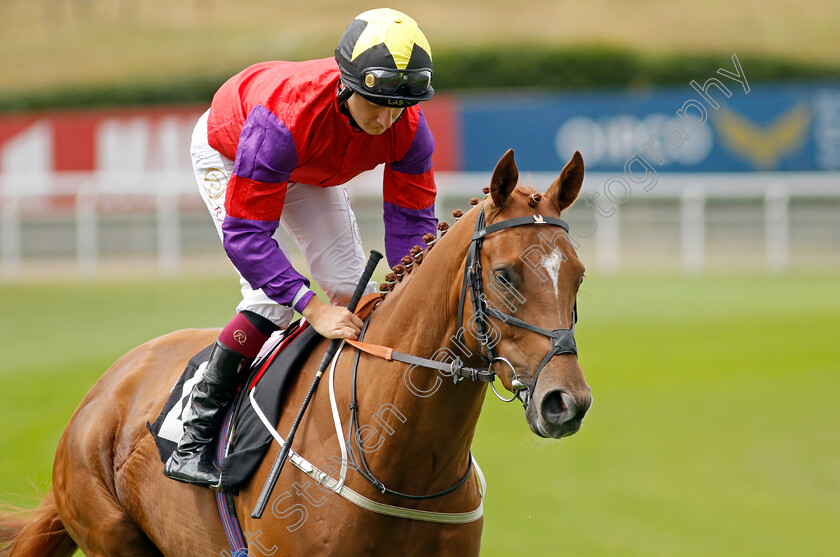 Dornoch-Castle-0001 
 DORNOCH CASTLE (Cieren Fallon)
Goodwood 26 Jul 2022 - Pic Steven Cargill / Racingfotos.com