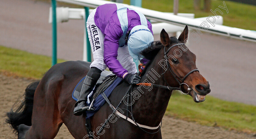 Dash-Of-Spice-0007 
 DASH OF SPICE (Sean Levey) wins The Betway Maiden Stakes Lingfield 13 Dec 2017 - Pic Steven Cargill / Racingfotos.com