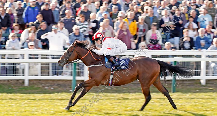 Futuristic-0005 
 FUTURISTIC (Callum Shepherd) wins The Moulton Nurseries Of Acle Novice Stakes
Yarmouth 17 Sep 2019 - Pic Steven Cargill / Racingfotos.com