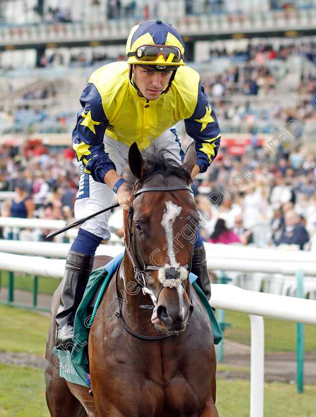 Once-More-For-Luck-0001 
 ONCE MORE FOR LUCK (Kevin Stott)
Doncaster 8 Sep 2022 - Pic Steven Cargill / Racingfotos.com