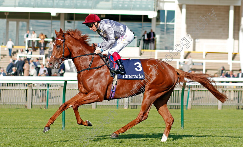 Fajjaj-0001 
 FAJJAJ (Frankie Dettori) Newmarket 28 Sep 2017 - Pic Steven Cargill / Racingfotos.com