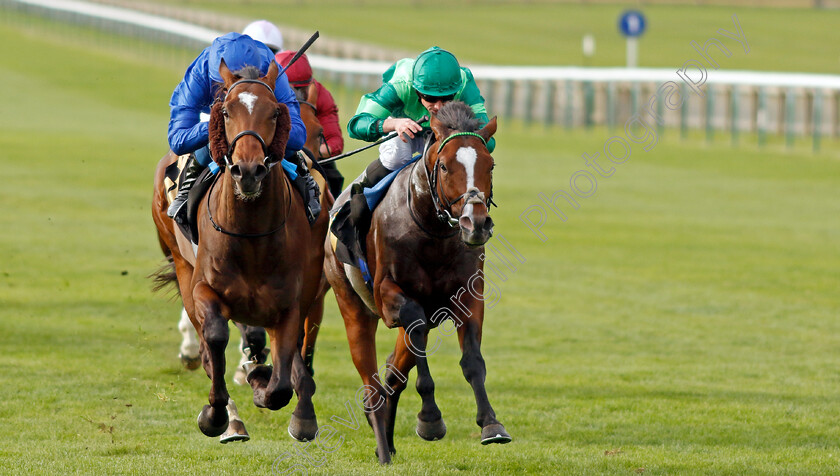 Cannon-Rock-0002 
 CANNON ROCK (left, William Buick) beats SIR LAURENCE GRAFF (right) in The Home Of Racing Maiden Stakes
Newmarket 19 Oct 2022 - Pic Steven Cargill / Racingfotos.com