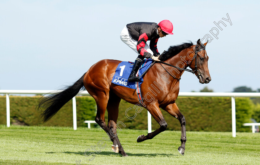 Atlantic-Coast-0002 
 ATLANTIC COAST (Dylan Browne)
Leopardstown 9 Sep 2023 - Pic Steven Cargill / Racingfotos.com