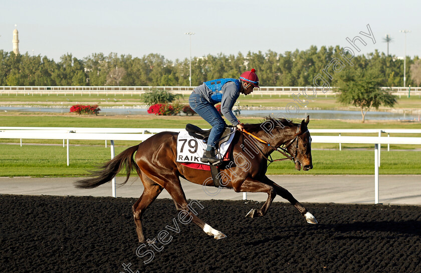 Raiku-0001 
 RAIKU training at the Dubai World Cup Carnival
Meydan 5 Jan 2023 - Pic Steven Cargill / Racingfotos.com