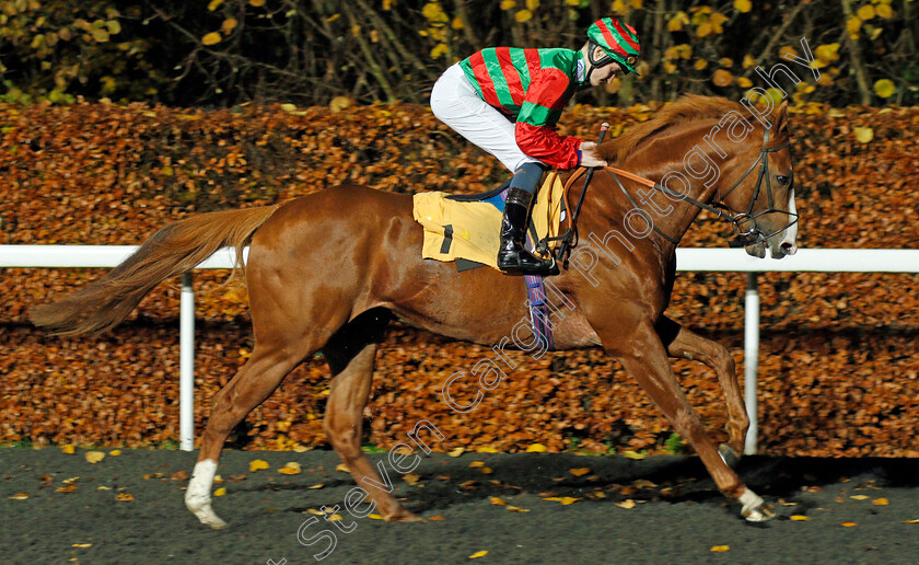 Tofan-0001 
 TOFAN (Daniel Muscutt)
Kempton 27 Nov 2019 - Pic Steven Cargill / Racingfotos.com