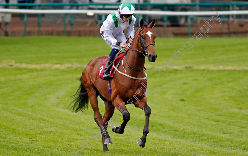 Green-Storm-0001 
 GREEN STORM (Daniel Muscutt)
Haydock 24 May 2024 - Pic Steven cargill / Racingfotos.com