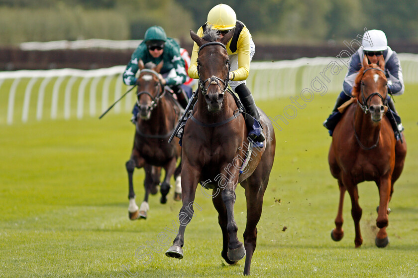 Myseven-0007 
 MYSEVEN (Pat Cosgrave) wins The Betway Novice Stakes
Lingfield 2 Sep 2020 - Pic Steven Cargill / Racingfotos.com