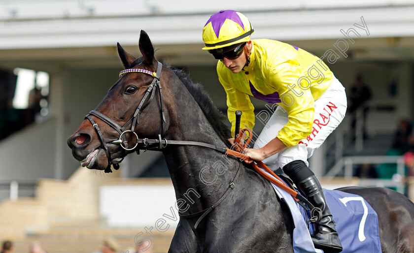 Sea-Silk-Road-0001 
 SEA SILK ROAD (Tom Marquand)
Newmarket 23 Sep 2022 - Pic Steven Cargill / Racingfotos.com