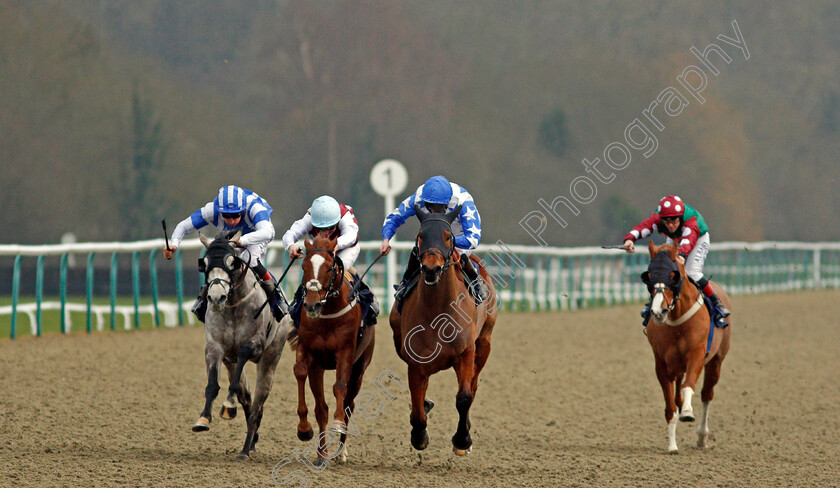 Murhib-0001 
 MURHIB (2nd right, Robert Havlin) beats ARABESCATO (left, Adam Kirby) and THREE DRAGONS (2nd left, Joe Fanning) in The Heed Your Hunch At Betway Handicap
Lingfield 6 Feb 2021 - Pic Steven Cargill / Racingfotos.com