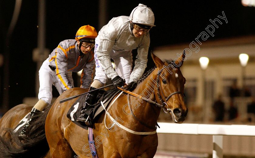 Matterhorn-0006 
 MATTERHORN (Joe Fanning) wins The Bet In Play totesport.com Handicap
Chelmsford 20 Feb 2019 - Pic Steven Cargill / Racingfotos.com