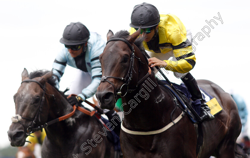 Green-Power-0006 
 GREEN POWER (Joao Moreira) wins The Dubai Duty Free Shergar Cup Sprint
Ascot 11 Aug 2018 - Pic Steven Cargill / Racingfotos.com