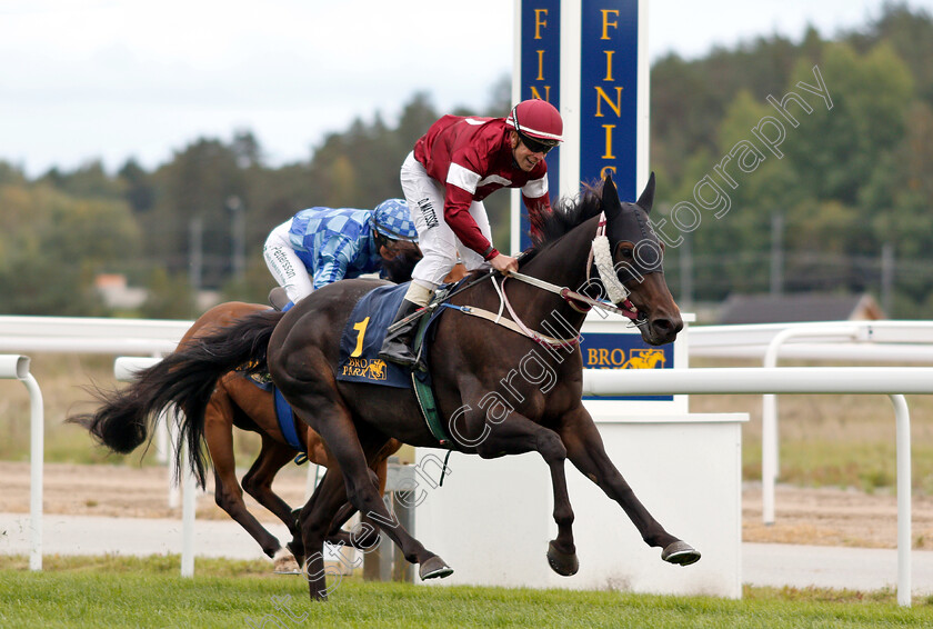 Ghashaam-0005 
 GHASHAAM (Daniel Mattsson) wins The Prix De L'Ark Handicap
Bro Park, Sweden 23 Sep 2018 - Pic Steven Cargill / Racingfotos.com