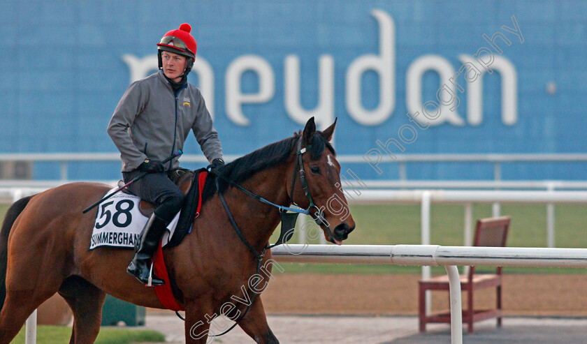 Summerghand-0002 
 SUMMERGHAND exercising for trainer David O'Meara
Meydan, Dubai, 3 Feb 2022 - Pic Steven Cargill / Racingfotos.com