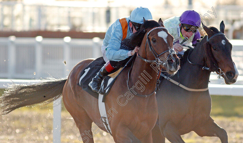 Prince-Of-Eagles-0007 
 PRINCE OF EAGLES (Shane Kelly) wins The Ministry Of Sound And Light Extravaganza Handicap
Chelmsford 11 Feb 2020 - Pic Steven Cargill / Racingfotos.com