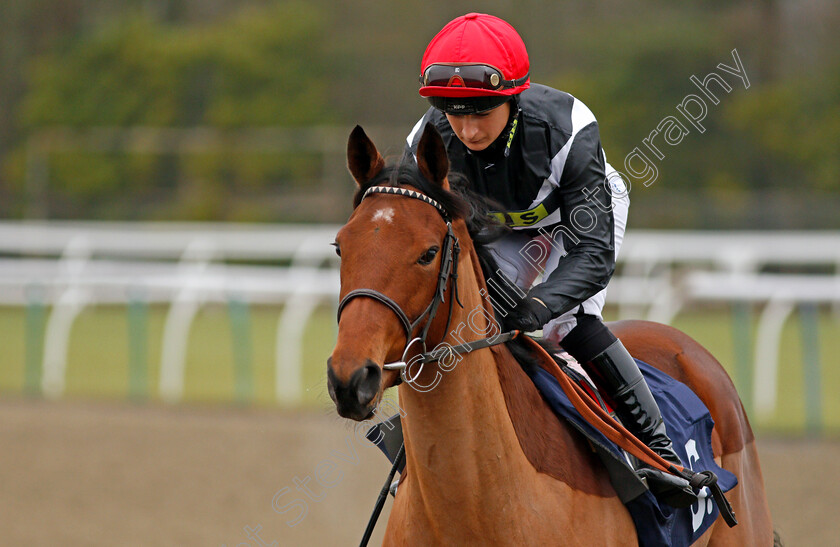 Katie-Lee-0001 
 KATIE LEE (Nicola Currie) Kempton 20 Dec 2017 - Pic Steven Cargill / Racingfotos.com