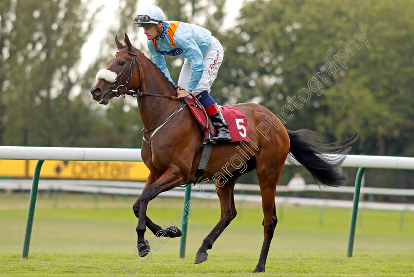 Misty-Ayr-0002 
 MISTY AYR (Callum Rodriguez)
Haydock 2 Sep 2022 - Pic Steven Cargill / Racingfotos.com