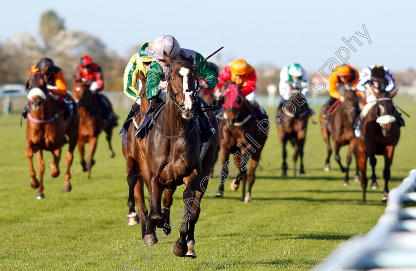 Mystic-Meg-0003 
 MYSTIC MEG (Jack Mitchell) wins The RCA Flat Racecourse Groundstaff Award Winners Handicap
Yarmouth 23 Oct 2018 - Pic Steven Cargill / Racingfotos.com