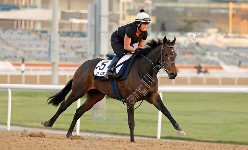 Cite-d Or-0001 
 CITE D'OR training at Meydan, Dubai
2 Feb 2023 - Pic Steven Cargill / Racingfotos.com