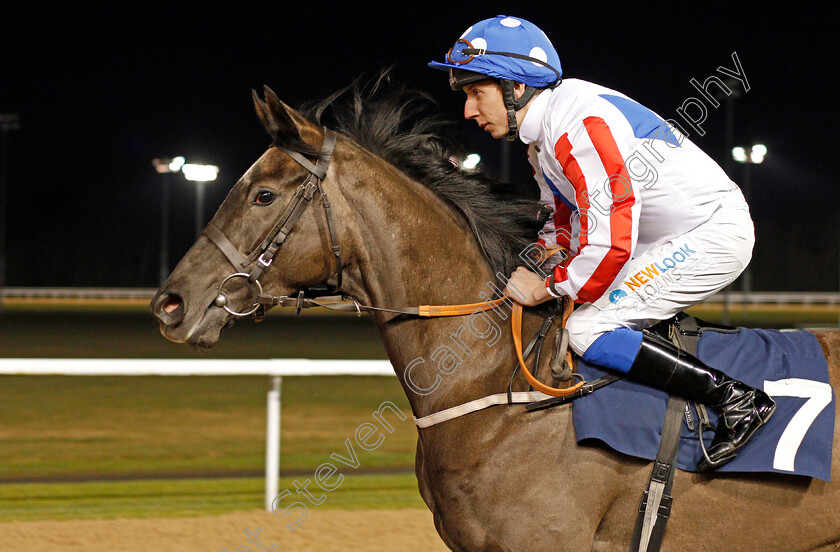 Ginger-Box-0001 
 GINGER BOX (James Sullivan)
Wolverhampton 20 Jan 2020 - Pic Steven Cargill / Racingfotos.com