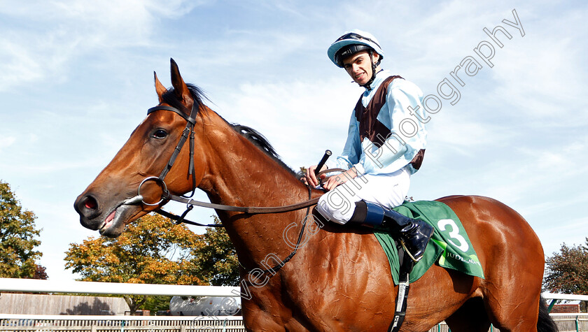 Fairyland-0009 
 FAIRYLAND (Donnacha O'Brien) after The Juddmonte Cheveley Park Stakes
Newmarket 29 Sep 2018 - Pic Steven Cargill / Racingfotos.com