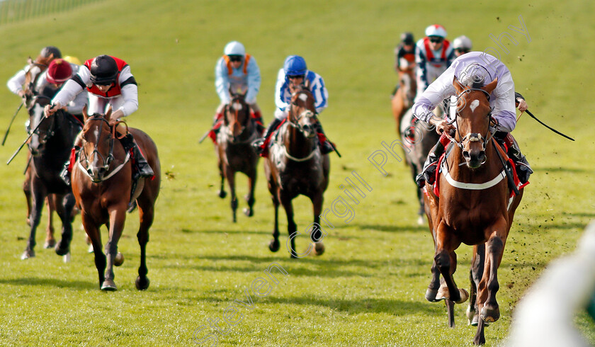 Dolphin-Vista-0003 
 DOLPHIN VISTA (George Wood) wins The Betfred Cambridgeshire Handicap Newmarket 30 Sep 2017 - Pic Steven Cargill / Racingfotos.com