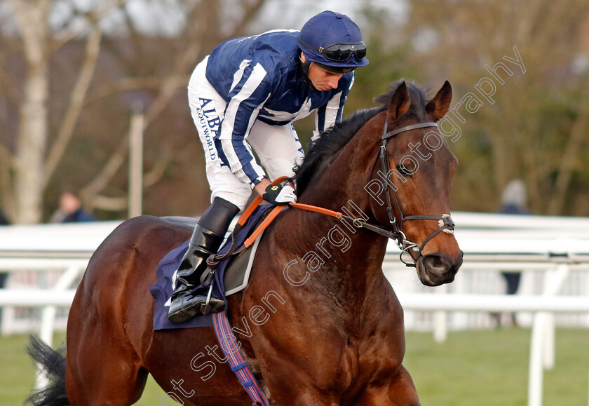 Talis-Evolvere-0002 
 TALIS EVOLVERE (Ryan Moore)
Lingfield 20 Jan 2024 - Pic Steven Cargill / Racingfotos.com