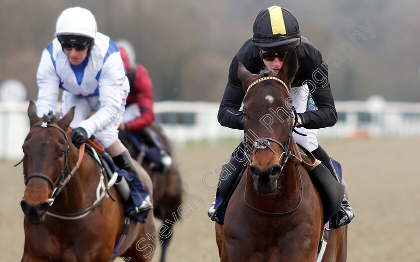 Spirit-Warning-0008 
 SPIRIT WARNING (Joshua Bryan) wins The Ladbrokes Home of The Odds Boost Handicap
Lingfield 2 Feb 2019 - Pic Steven Cargill / Racingfotos.com