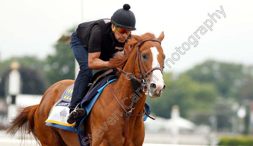 Justify-0013 
 JUSTIFY (Martine Garcia) exercising in preparation for The Belmont Stakes
Belmont Park USA 7 Jun 2018 - Pic Steven Cargill / Racingfotos.com