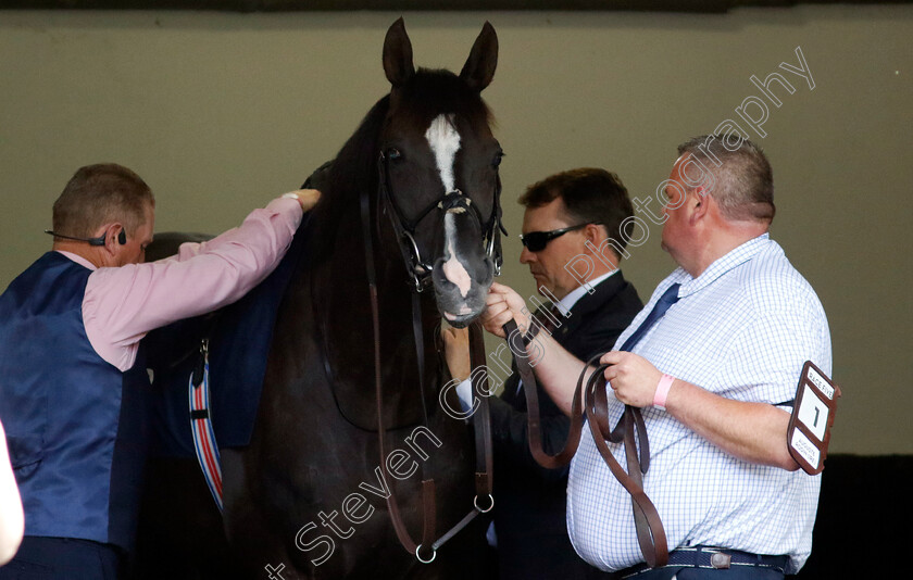 Auguste-Rodin-0002 
 AUGUSTE RODIN with Aidan O'Brien
Ascot 27 Jul 2024 - Pic Steven Cargill / Racingfotos.com