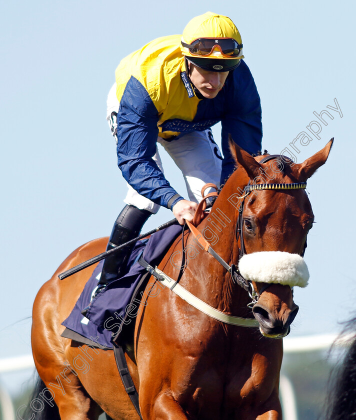 Ajero 
 AJERO (Richard Kingscote)
Chepstow 27 May 2022 - Pic Steven Cargill / Racingfotos.com