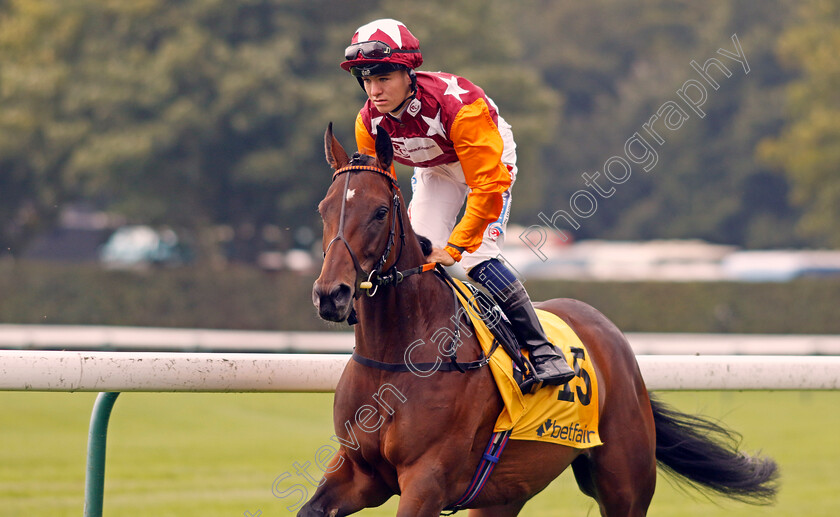 Lincoln-Rockstar-0002 
 LINCOLN ROCKSTAR (Rhys Elliott)
Haydock 7 Sep 2024 - Pic Steven Cargill / Racingfotos.com