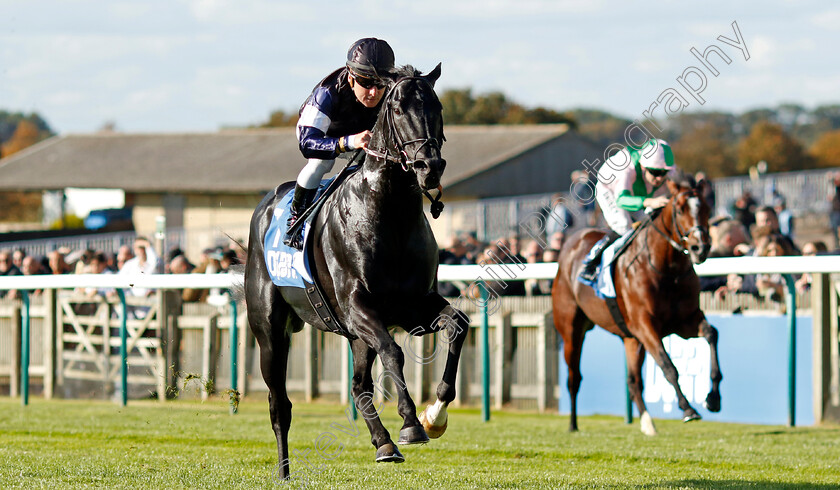 Topgear-0005 
 TOPGEAR (Stephane Pasquier) wins The Thoroughbred Industry Employee Awards Challenge Stakes
Newmarket 11 Oct 2024 - pic Steven Cargill / Racingfotos.com