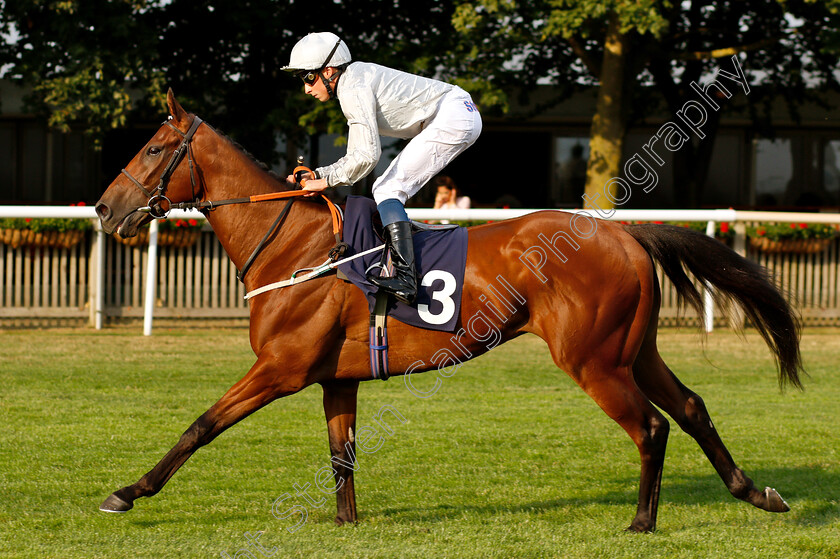 Illusional-0001 
 ILLUSIONAL (William Buick)
Newmarket 20 Jul 2018 - Pic Steven Cargill / Racingfotos.com