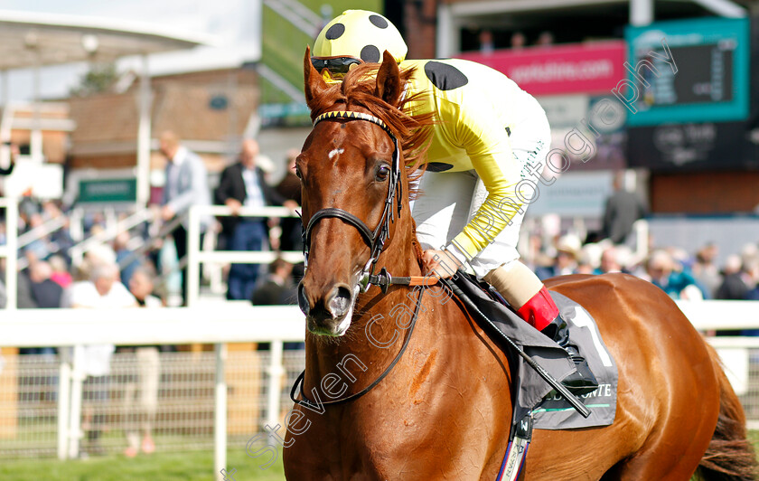 Juan-Elcano-0003 
 JUAN ELCANO (Andrea Atzeni)
York 18 Aug 2021 - Pic Steven Cargill / Racingfotos.com