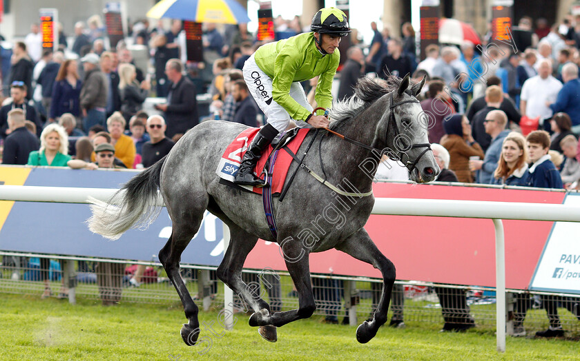 Buzz-0001 
 BUZZ (Daniel Tudhope)
York 15 Jun 2019 - Pic Steven Cargill / Racingfotos.com