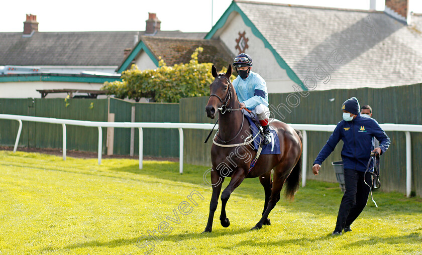 Immaculate-0001 
 IMMACULATE (Franny Norton)
Yarmouth 20 Oct 2020 - Pic Steven Cargill / Racingfotos.com