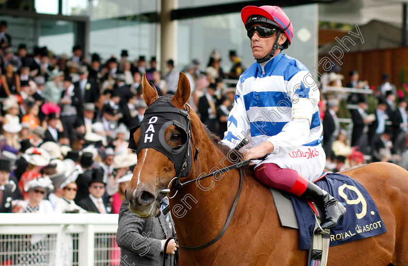 Redkirk-Warrior-0002 
 REDKIRK WARRIOR (Frankie Dettori) after The Diamond Jubilee Stakes
Royal Ascot 23 Jun 2018 - Pic Steven Cargill / Racingfotos.com