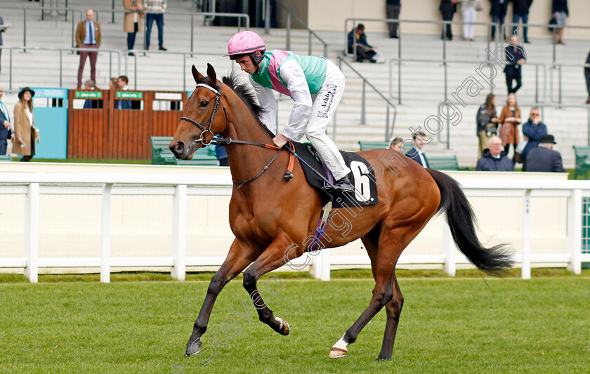 Echo-Lima-0001 
 ECHO LIMA (Rossa Ryan)
Ascot 1 May 2024 - Pic Steven Cargill / Racingfotos.com