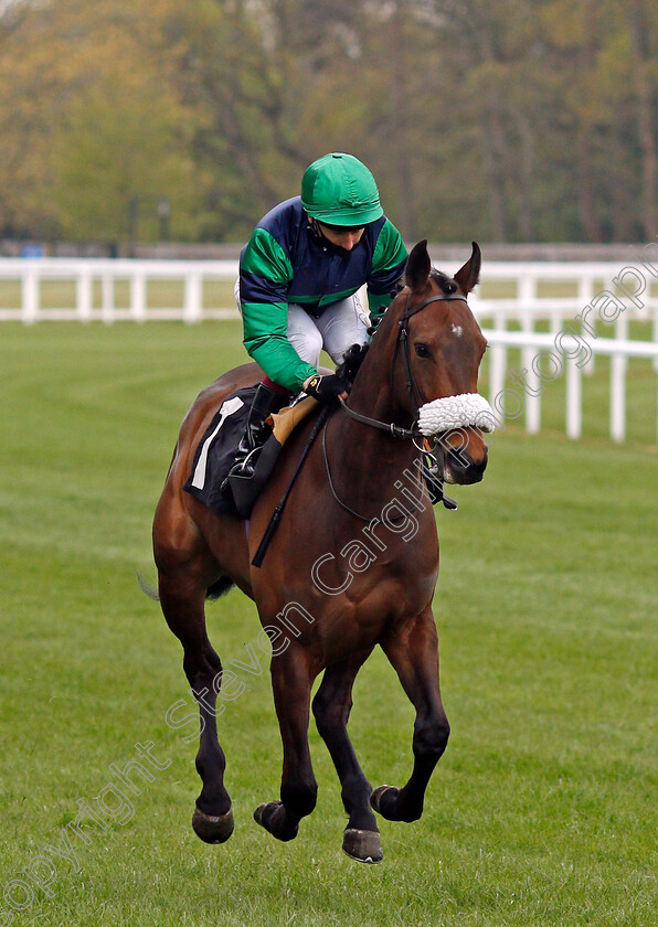 Auria-0001 
 AURIA (Oisin Murphy)
Ascot 28 Apr 2021 - Pic Steven Cargill / Racingfotos.com