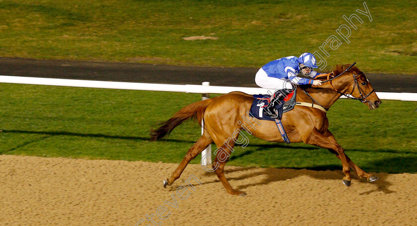 Bollihope-0003 
 BOLLIHOPE (Robert Havlin) wins The Betway Casino Handicap
Wolverhampton 7 Jan 2019 - Pic Steven Cargill / Racingfotos.com