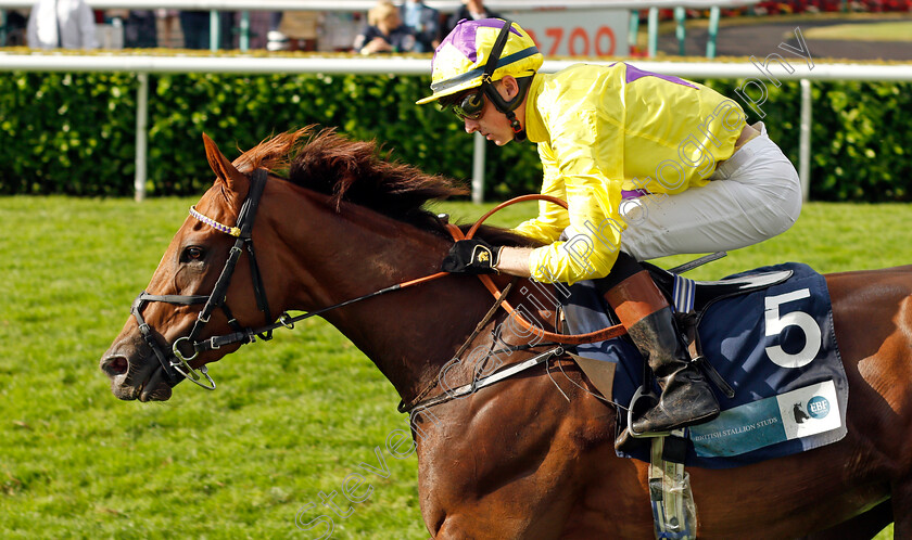 Sea-La-Rosa-0004 
 SEA LA ROSA (Adam Farragher) wins The British EBF Premier Fillies Handicap
Doncaster 10 Sep 2021 - Pic Steven Cargill / Racingfotos.com