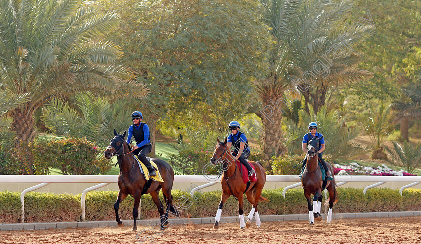 Passion-and-Glory,-Dubai-Future-and-Real-World-0001 
 PASSION AND GLORY (left), DUBAI FUTURE (centre) and REAL WORLD (right) training at The Saudi Cup
King Abdulaziz Racetrack, Riyadh, Saudi Arabia 24 Feb 2022 - Pic Steven Cargill / Racingfotos.com