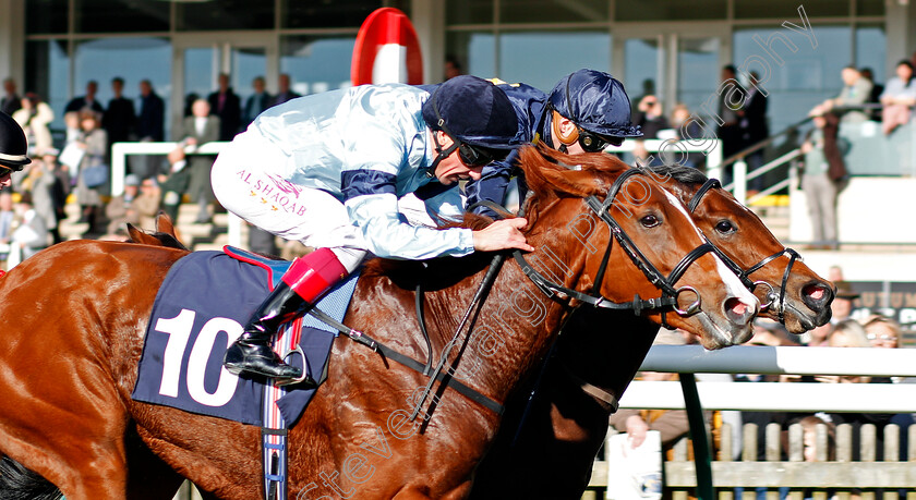 Timpani-0005 
 TIMPANI (nearside, Frankie Dettori) beats LEFT ALONE (farside) in The Rewards4racing Fillies Novice Median Auction Stakes Div2 Newmarket 25 Oct 2017 - Pic Steven Cargill / Racingfotos.com