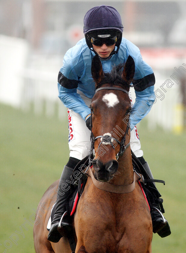 Posh-Trish-0002 
 POSH TRISH (Harry Cobden) winner of The Ladbrokes Mares Novices Hurdle
Newbury 1 Dec 2018 - Pic Steven Cargill / Racingfotos.com