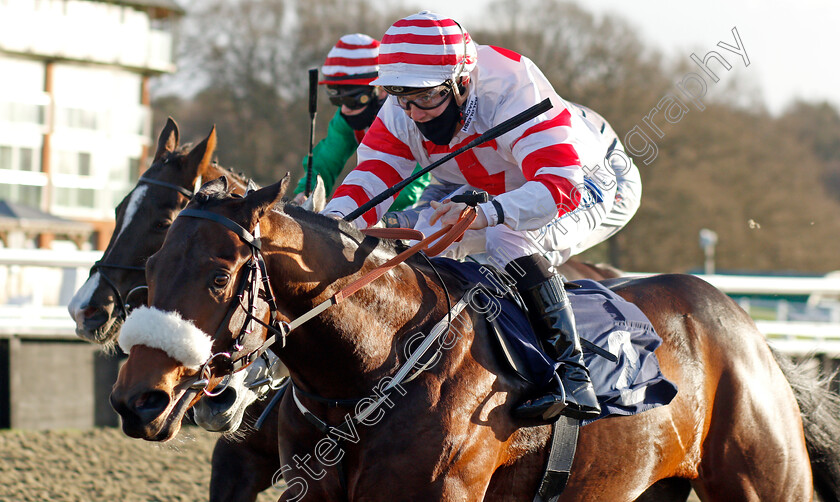 Aberama-Gold-0006 
 ABERAMA GOLD (Shane Gray) wins The Heed Your Hunch At Betway Handicap
Lingfield 19 Dec 2020 - Pic Steven Cargill / Racingfotos.com